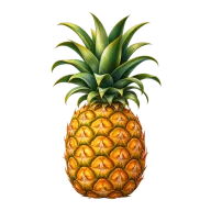 Ilustración de Piña